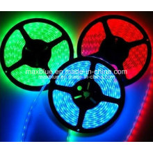 60LEDs/M IP65 Waterproof RGB LED Strip Light